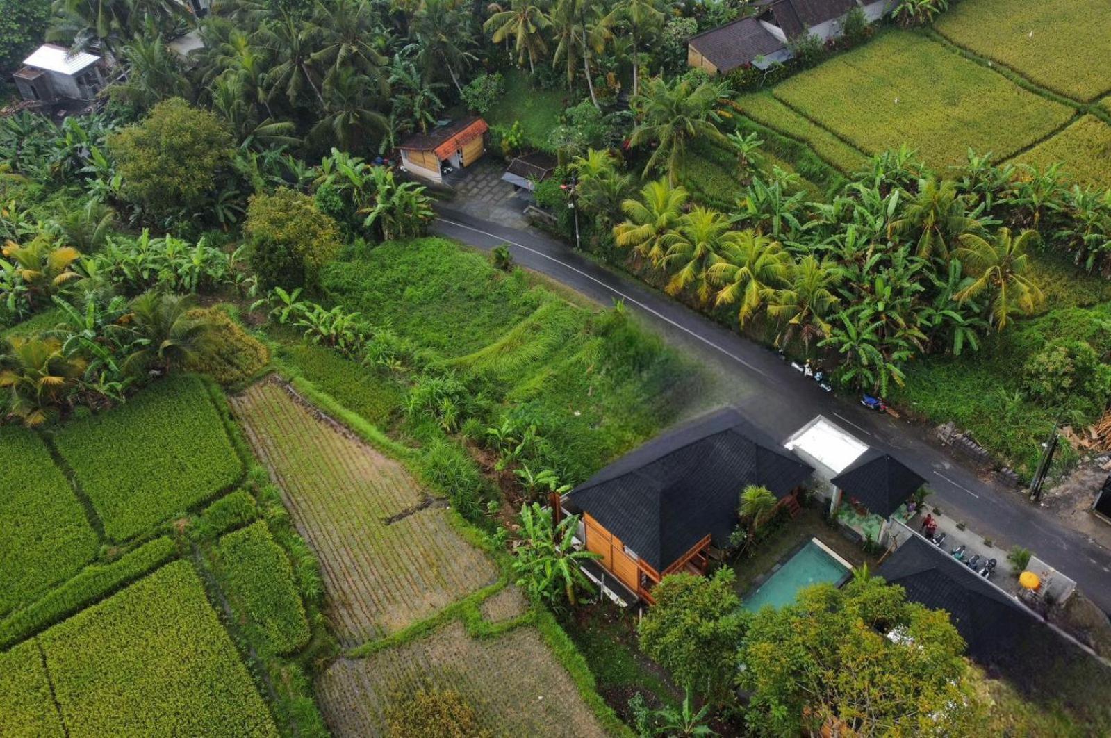 Harmony Wooden Villas อูบุด ภายนอก รูปภาพ